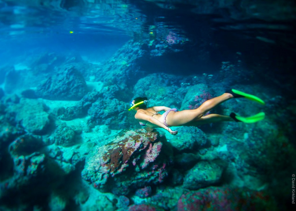 Diving And Snorkeling - About - Niue Blue Island Experiences